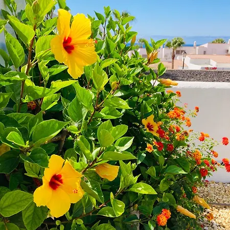 Villa Luxury With Sea View, Private Jacuzzi & Heated Pool *