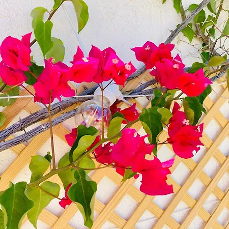 Luxury With Sea View, Private Jacuzzi & Heated Pool San Miguel de Abona