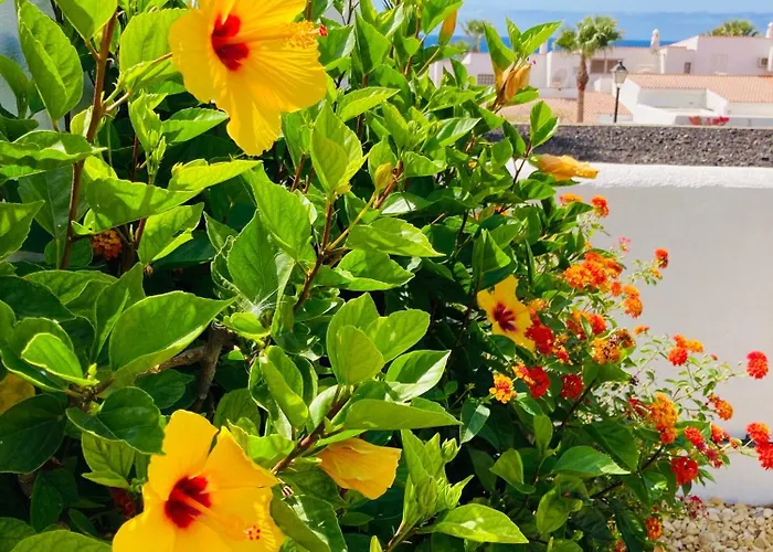 Willa Luxury With Sea View, Private Jacuzzi & Heated Pool *